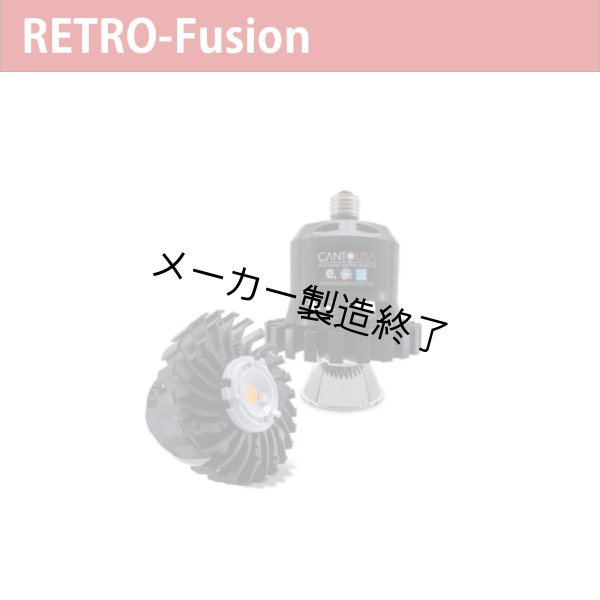 画像1: Canto USA RETRO-Fusion 150 Short（17ワット） (1)