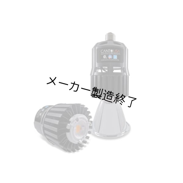 画像2: Canto USA RETRO-Fusion 150 Tall（17ワット） (2)