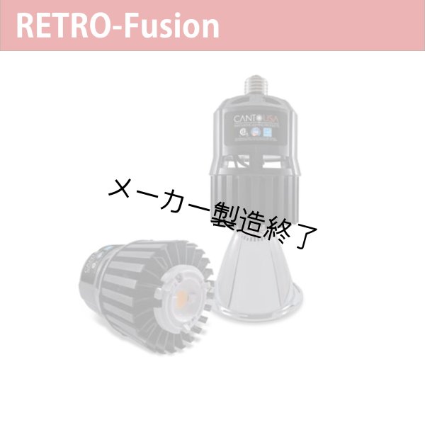 画像1: Canto USA RETRO-Fusion 150 Tall（17ワット） (1)