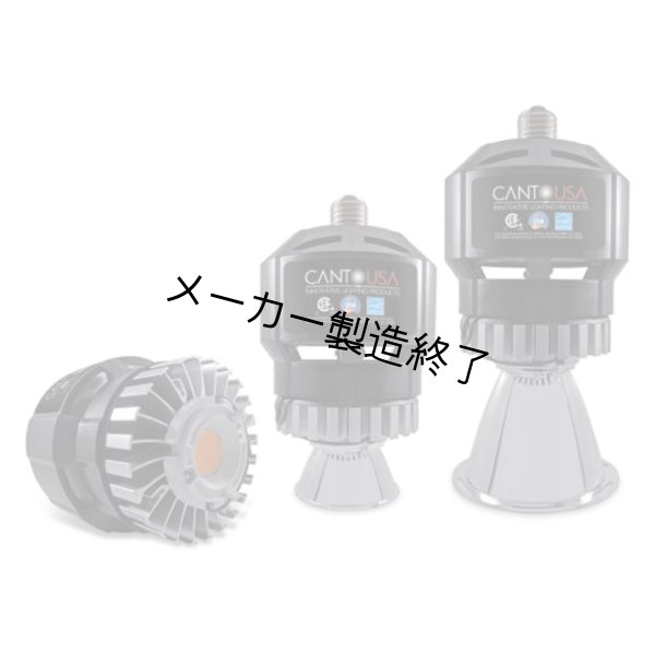 画像2: Canto USA RETRO-Fusion 300（30ワット） (2)