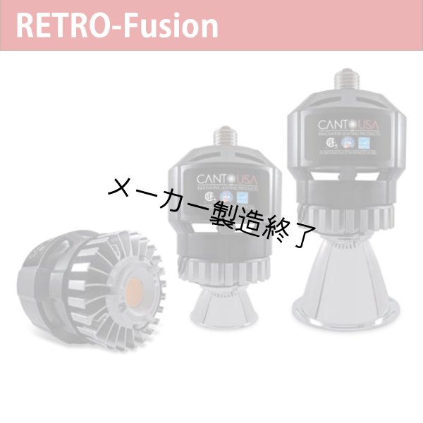 画像1: Canto USA RETRO-Fusion 300（30ワット） (1)