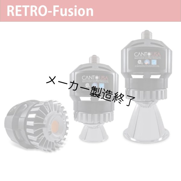 画像1: Canto USA RETRO-Fusion 500（49ワット） (1)
