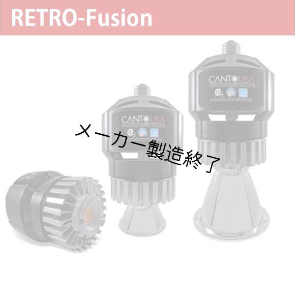 画像1: Canto USA RETRO-Fusion 700（72ワット） (1)