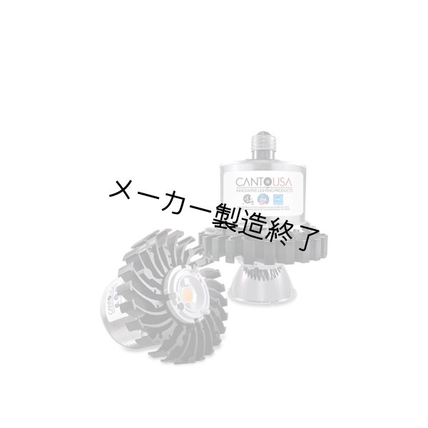 画像2: Canto USA RETRO-Passive 150 Short(17ワット) (2)