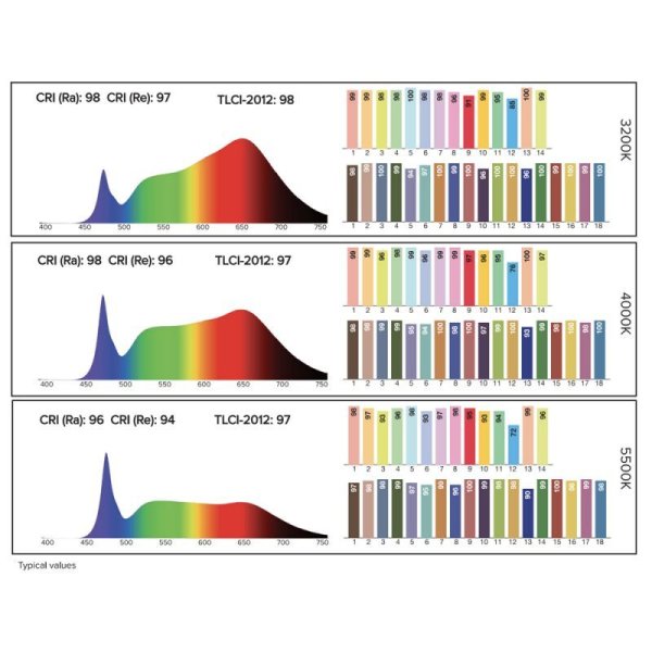 画像11: ASTERA NYX Bulb(アステラ NYX バルブ)ホワイト/ブラック (11)