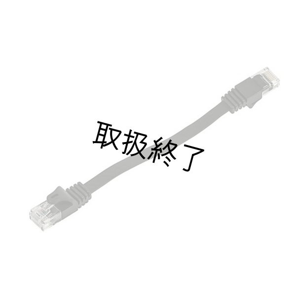 画像1: Quasar Science CAT5 CABLE（クエイザーサイエンス） (1)