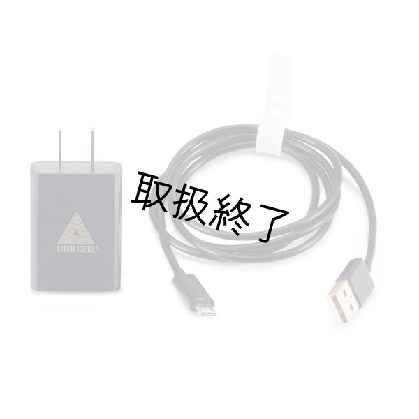 画像8: Quasar Science Q-LION（クエイザーサイエンス Qライオン） (8)
