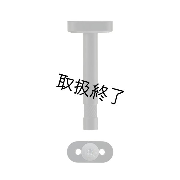 画像1: Quasar Science QS DUAL SCREW BABY PIN（クエイザーサイエンス） (1)