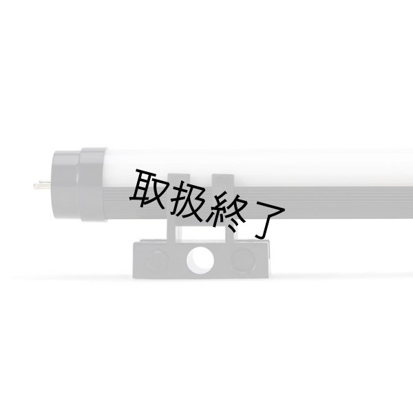 画像4: Quasar Science Q-BLOCK - T8（クエイザーサイエンス Qブロック） (4)