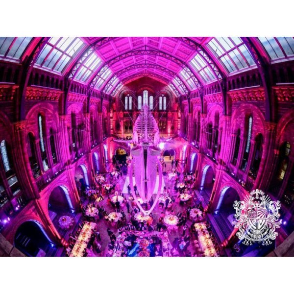 画像17: CORE Lighting ColorPoint カラーポイント(コアライティング)W-DMX (17)