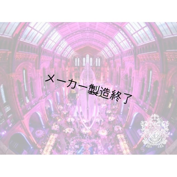 画像17: CORE Lighting ColorPoint カラーポイント（コアライティング）W-DMX (17)