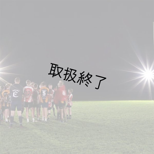 画像5: CORE Lighting ワイヤレスフラッドライト（コアライティング） (5)