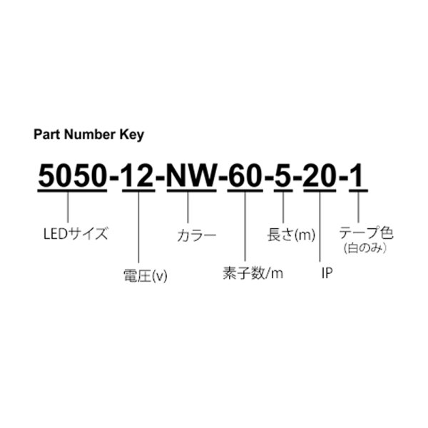 画像2: City Theatrical QolorFLEX LEDテープ 24V IP20屋内用(シティシアトリカル)WARM WHITE (2)