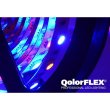 画像5: City Theatrical QolorFLEX LEDテープ 12V IP20屋内用（シティシアトリカル）NATURAL WHITE (5)