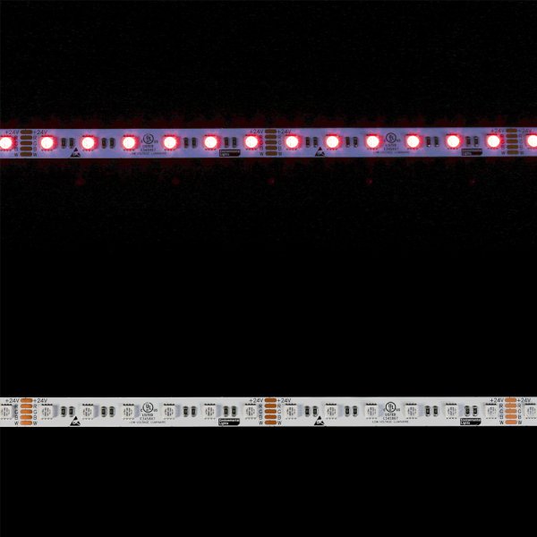 画像2: CIty Theatrical Eluxtra 4-in-1 LED Strip Light, 24V, Indoor, RGB + Amber（Eluxtra 4-in-1 LEDストリップライト 24V インドア RGB + アンバー） (2)