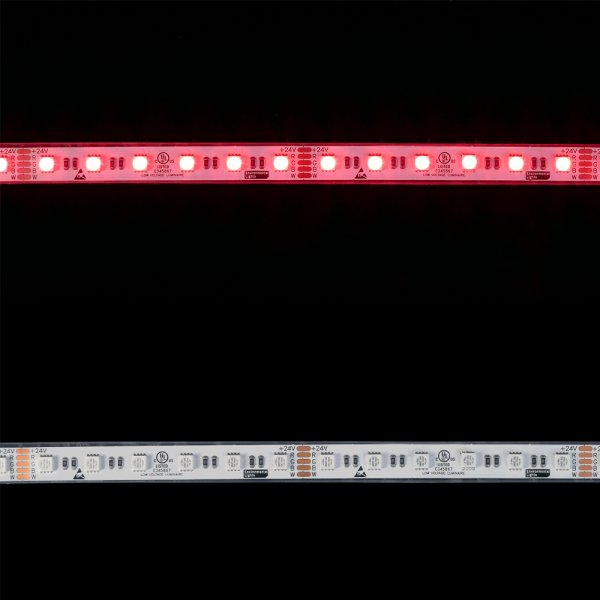 画像2: CIty Theatrical Eluxtra 4-in-1 LED Strip Light, 24V, Outdoor/Waterproof, RGB + Amber（Eluxtra 4-in-1 LEDストリップライト 24V アウトドア／ウォータープルーフ RGB + アンバー） (2)