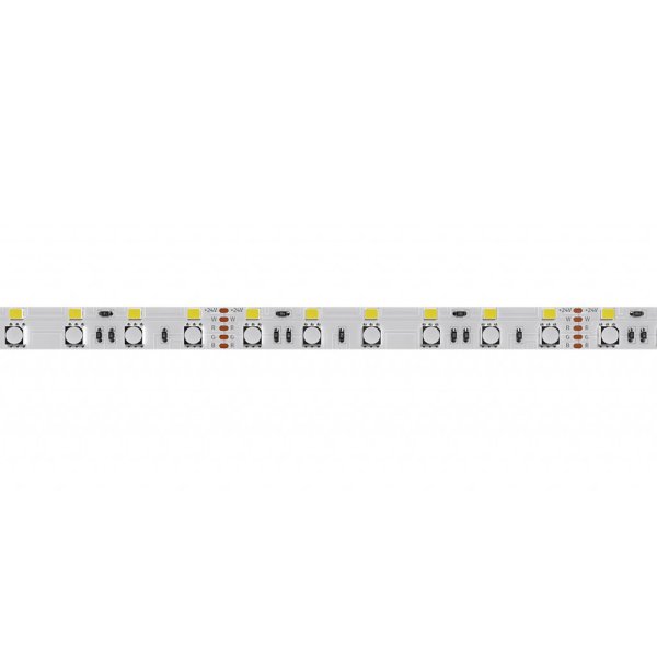 画像4: ENTTEC RGBW LED Tape (10m)(エンテック) (4)