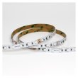 画像2: ENTTEC RGB Constant Voltage LED strip (10m) (2)