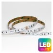 画像1: ENTTEC RGB Constant Voltage LED strip (10m) (1)