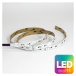 画像1: ENTTEC RGBW Constant Voltage LED strip (10m) (1)