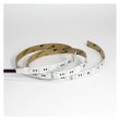 画像2: ENTTEC RGBW Constant Voltage LED strip (10m) (2)