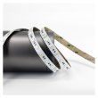 画像3: ENTTEC RGBW Constant Voltage LED strip (10m) (3)