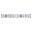 画像4: ENTTEC RGBW Constant Voltage LED strip (10m) (4)