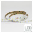 画像1: ENTTEC Tuneable white Constant Voltage LED strip (10m) (1)