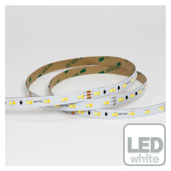 画像1: ENTTEC Tuneable white Constant Voltage LED strip (10m) (1)