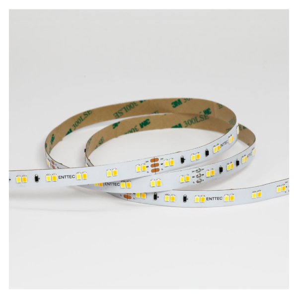 画像2: ENTTEC Tuneable white Constant Voltage LED strip (10m) (2)