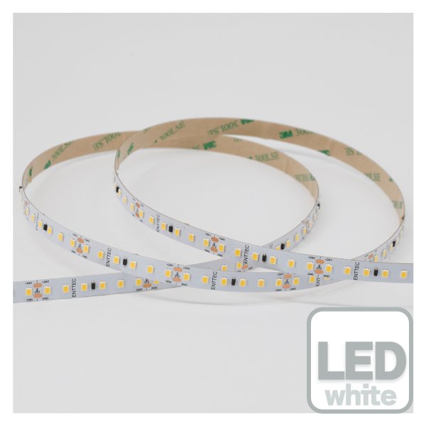 画像1: ENTTEC White Constant Voltage LED strip (10m) 4000K (1)
