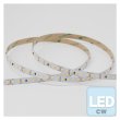 画像1: ENTTEC White Constant Voltage LED strip (10m) 6000K (1)