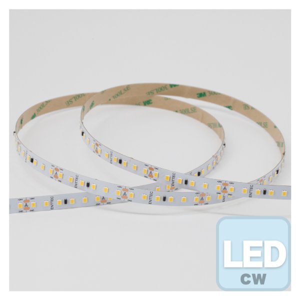 画像1: ENTTEC White Constant Voltage LED strip (10m) 6000K (1)
