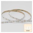 画像1: ENTTEC White Constant Voltage LED strip (10m) 3000K (1)