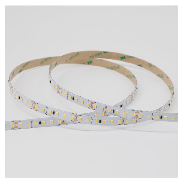 画像2: ENTTEC White Constant Voltage LED strip (10m) 6000K (2)