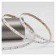 画像3: ENTTEC White Constant Voltage LED strip (10m) 6000K (3)