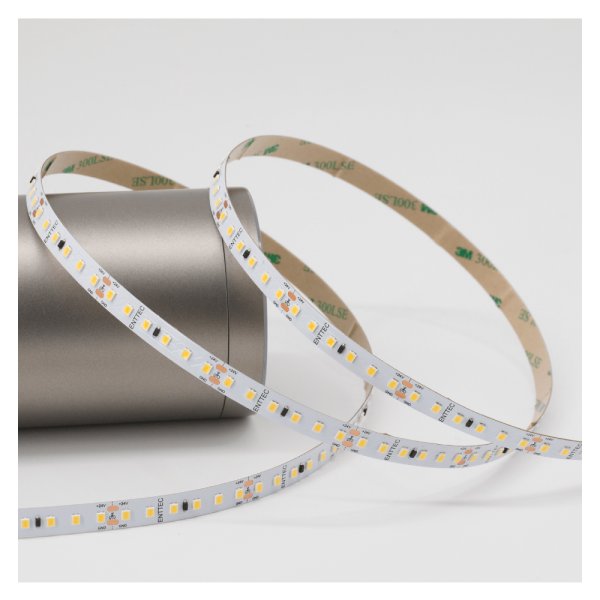 画像3: ENTTEC White Constant Voltage LED strip (10m) 6000K (3)