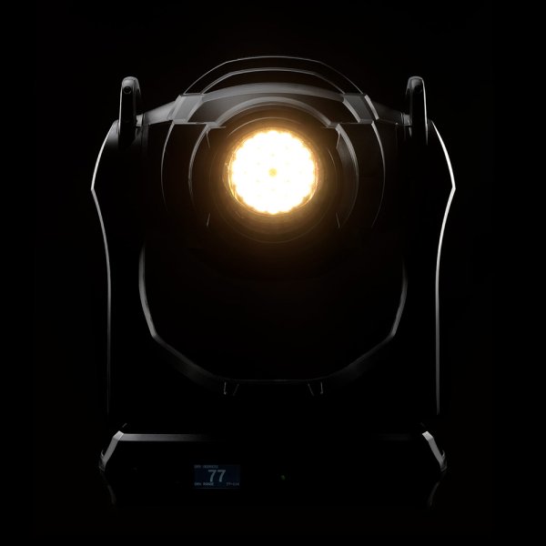 画像11: Martin MAC Encore Performance WRM（アンコア パフォーマンス WRM） (11)