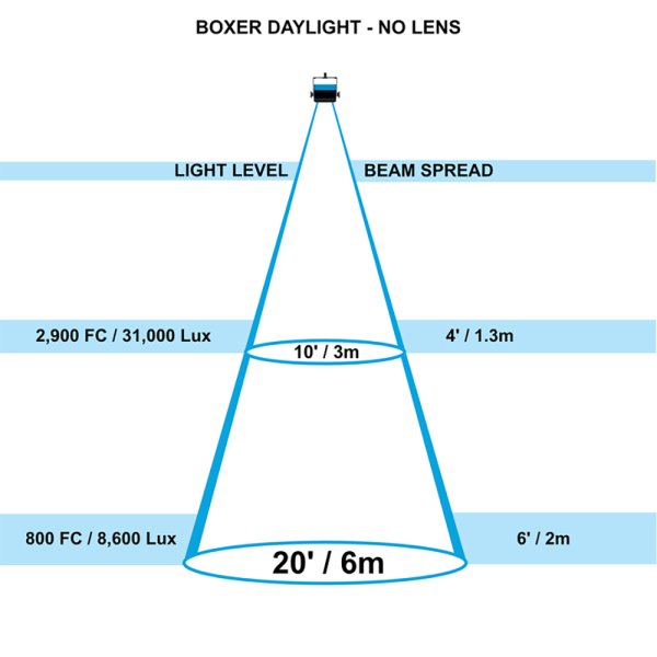 画像4: Nila Boxer Daylight（ニラ ボクサー） (4)