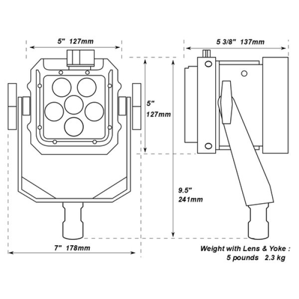 画像4: Nila Zaila Bi-Color（ニラ ザイラ） (4)