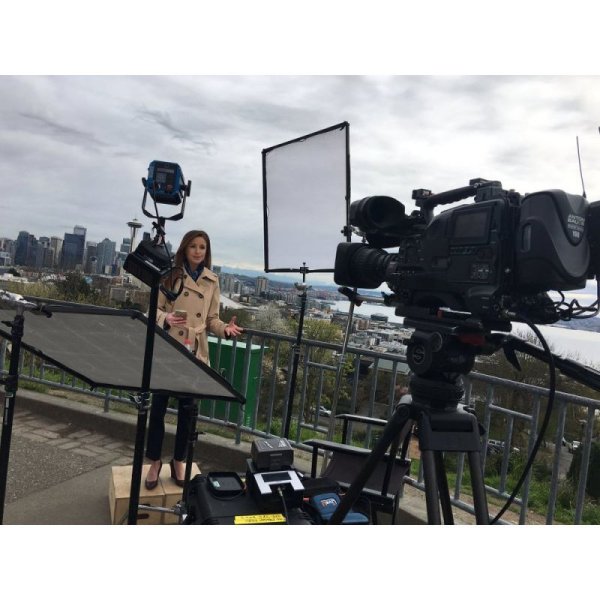 画像9: Nila Zaila Bi-Color（ニラ ザイラ） (9)