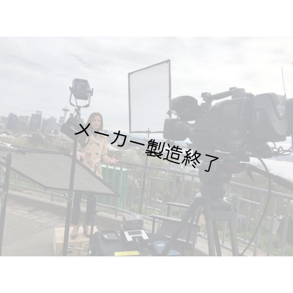 画像6: Nila Zaila Daylight（ニラ ザイラ） (6)