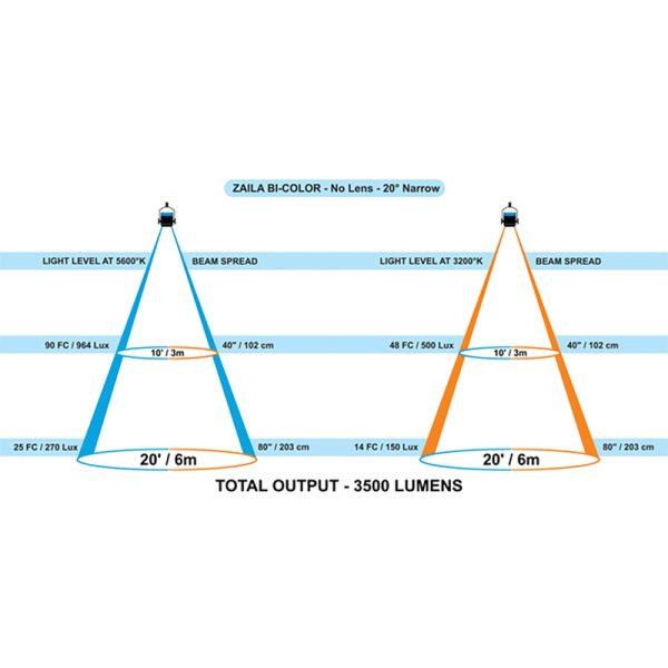 画像5: Nila Zaila Bi-Color（ニラ ザイラ） (5)