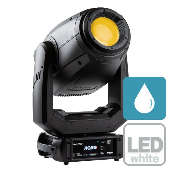 画像1: Robe PAINTE TGW（ペインテ TGW） (1)