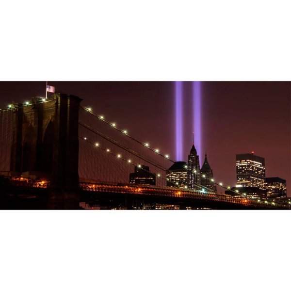 画像3: Spacecannon Leukos（スペースキャノン） (3)