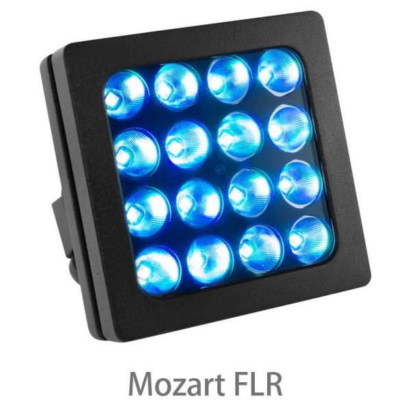 画像4: TMB Solaris Mozart（ティーエムビー ソラリスモーツァルト） (4)