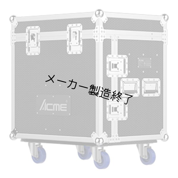 画像1: ACME FC AECO 30 IP（フライトケース AECO 30 IP用） (1)