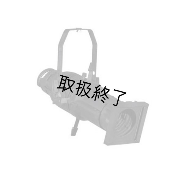 画像1: Altman PHX ERS（アルトマン） (1)