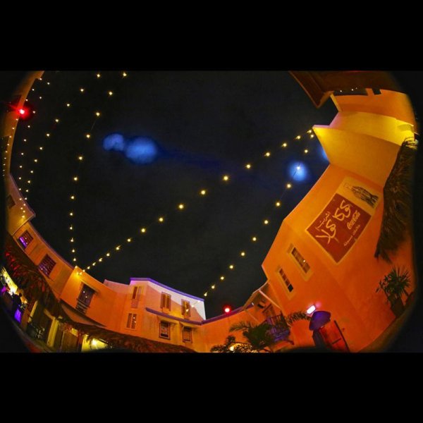 画像18: TMB ProTesterFirefly Festoon Lighting（ティーエムビー プロテスターファイヤーフライ フェストゥーンライティング） (18)