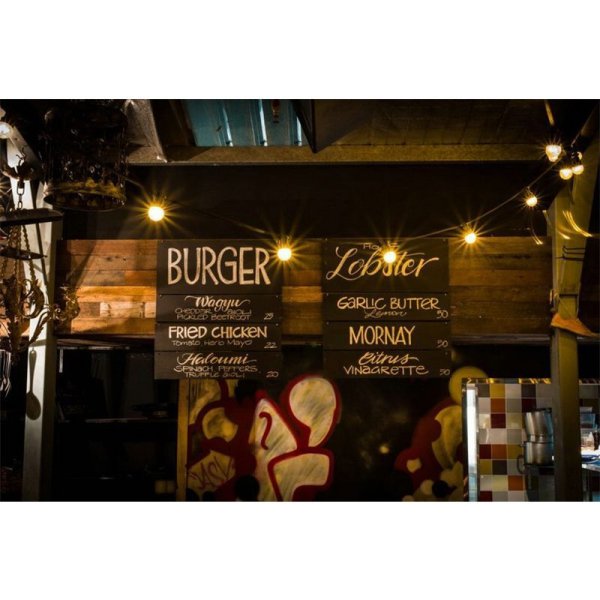 画像7: TMB ProTesterFirefly Festoon Lighting（ティーエムビー プロテスターファイヤーフライ フェストゥーンライティング） (7)